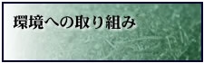 ���ւ̎��g��